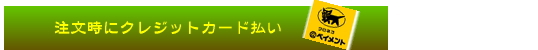 注文時にクレジットカード先払い